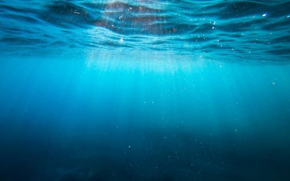 Underwater scene, with waves