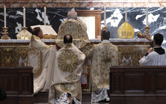 Cardinal Walter Brandmuller elevates the Eucharist during a Tridentine Mass at the Altar of the Chair in St. Peter's Basilica at the Vatican May 15, 2011. (CNS/Paul Haring)