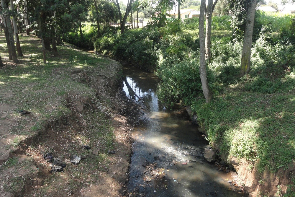 The water level of the Kalondon River in Nyeri, Kenya, has decreased due to logging upstream, encroachment, non-native plants nearby, unsustainable irrigation use and other climate impacts. (Courtesy of Shadrack Omuka)